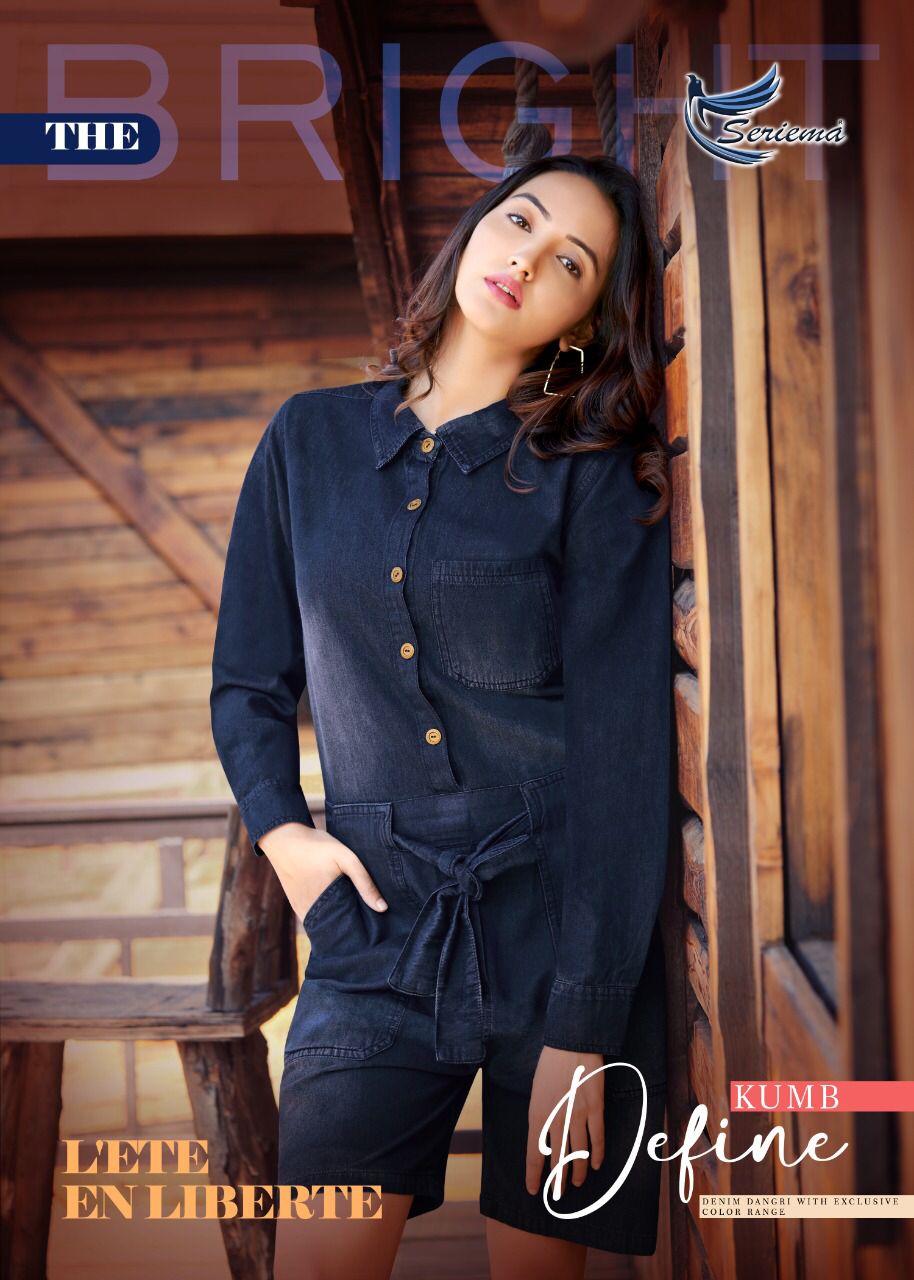 Kumb Definede  Denims Wear Wholesale Top And Bottom Collection 